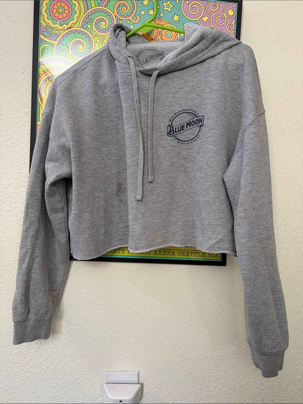 Blue Moon Women's Gray Cropped Hoodie Sweater